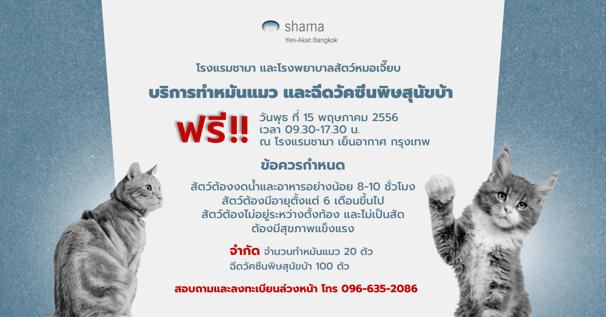 Shama Yen-Akat Bangkok โรงแรม Pet Friendly ย่านสาทร เล็งเห็นปัญหาสัตว์ไร้บ้าน เปิดโครงการ "Shama อาสา ทำหมันแมวและฉีดวัคซีนพิษสุนัขบ้าฟรี" ให้แก่ชุมชนในพื้นที่ใกล้เคียง