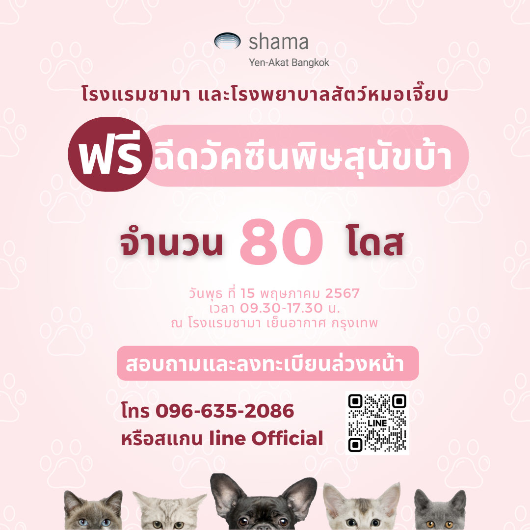 Shama Yen-Akat Bangkok โรงแรม Pet Friendly ย่านสาทร เล็งเห็นปัญหาสัตว์ไร้บ้าน เปิดให้บริการ "ฉีดวัคซีนพิษสุนัขบ้า" ฟรีให้แก่สัตว์จรจัด